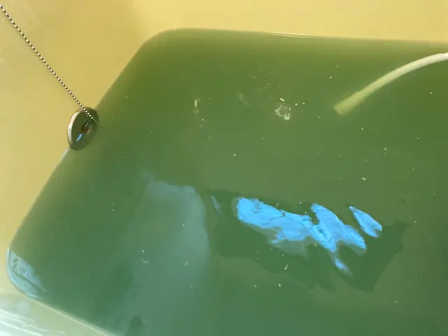 【見えないところもキレイに！】ナノバブルと2種の専用洗剤による徹底洗浄！サービスの画像