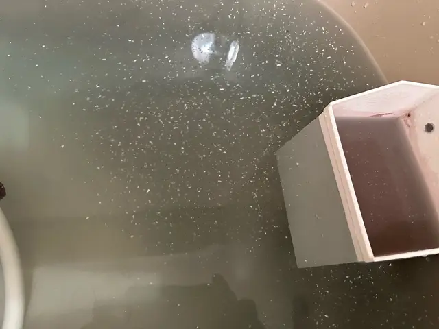 【見えないところもキレイに！】ナノバブルと2種の専用洗剤による徹底洗浄！サービスの画像