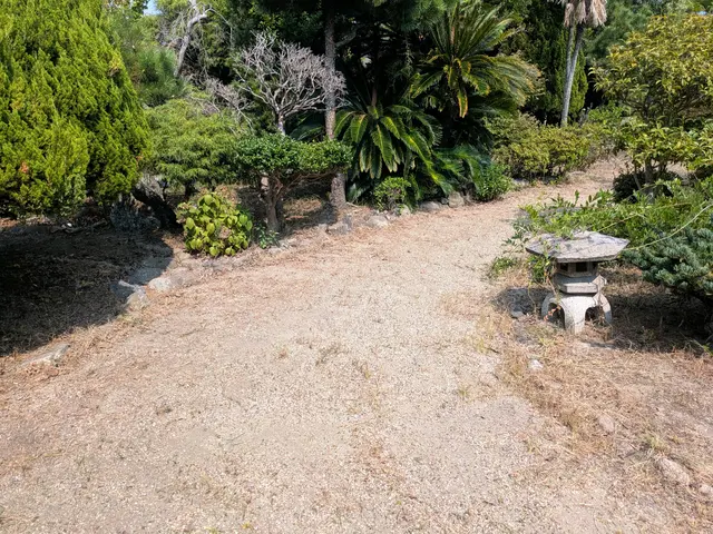 草抜き作業サービスの画像