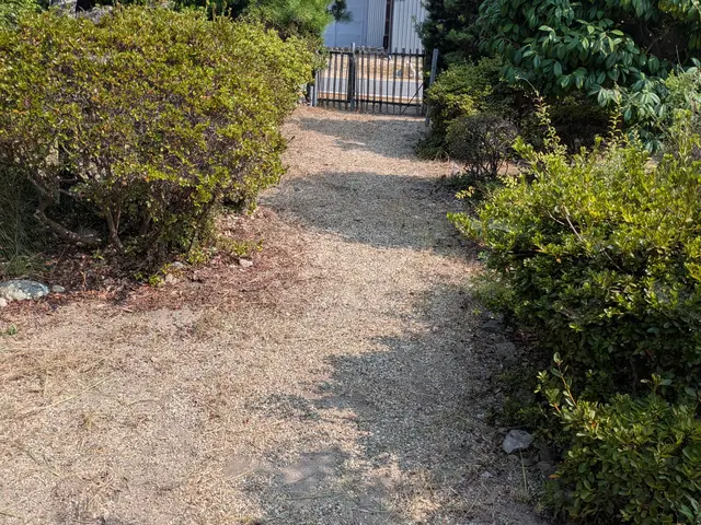 草抜き作業サービスの画像