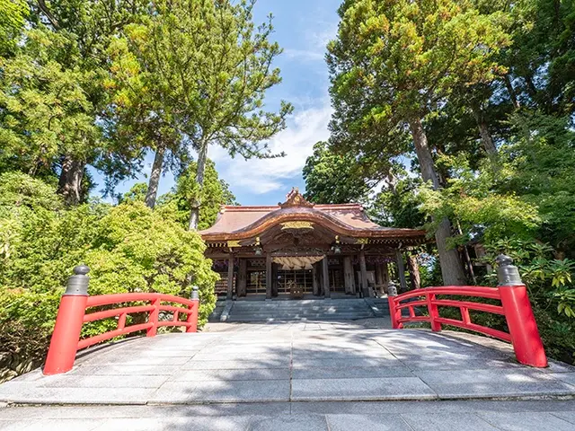 予約対応～撮影・納品まで当社スタッフがすべて対応します