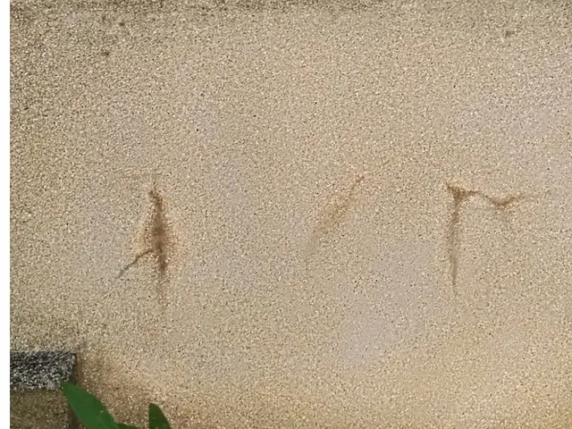 福岡県◆年中無休◆まごころ込めて大切なお墓を『美しく』蘇らせます。サービスの画像