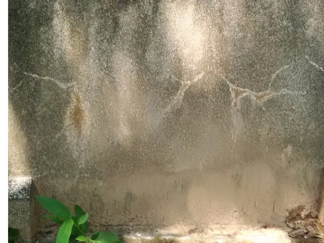 福岡県◆年中無休◆まごころ込めて大切なお墓を『美しく』蘇らせます。サービスの画像