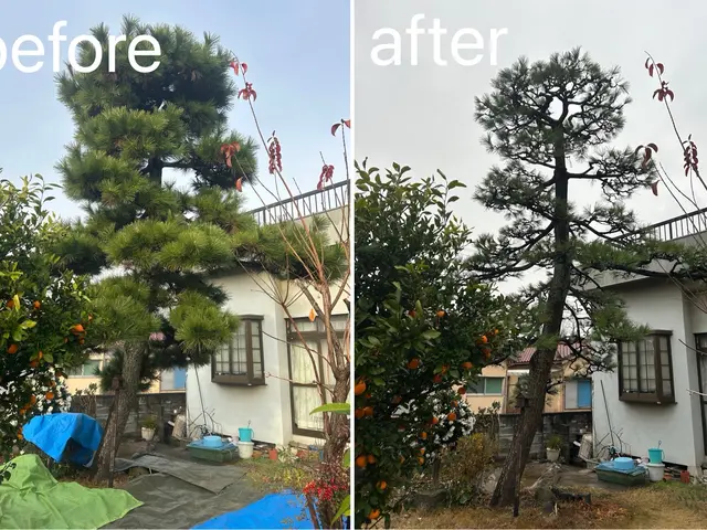 【累計2000件以上】店長訪問〜季節に合った剪定をご提案します〜サービスの画像