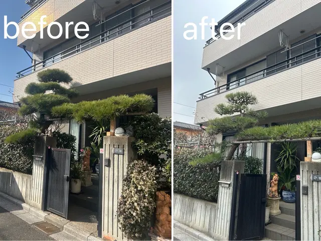 【累計2000件以上】店長訪問〜季節に合った剪定をご提案します〜サービスの画像