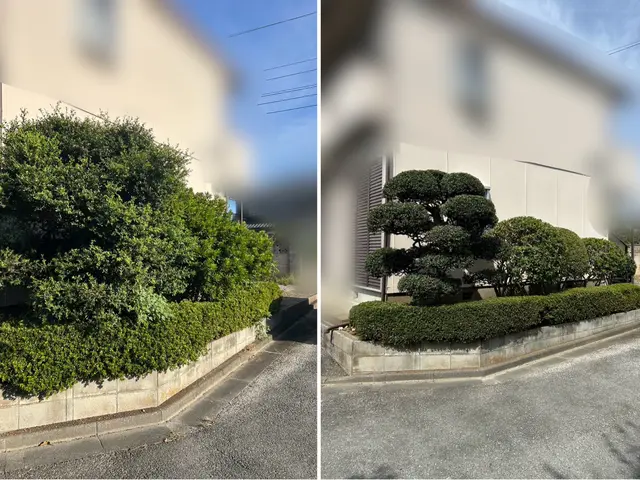 9月出店☆【累計2000件以上】店長訪問〜季節に合った剪定をご提案します〜サービスの画像