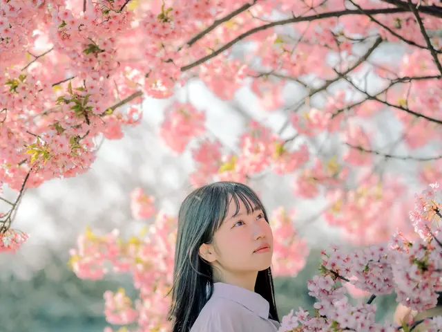 ミュージシャン、バンドの撮影多数！まるでアーティストなプロフィール写真！