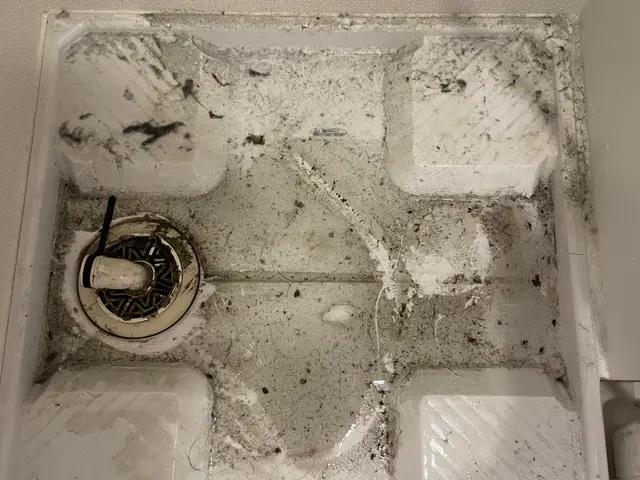 【大手ハウスメーカー施工経験豊富】1R〜戸建て全て対応　フローリングワックス対応サービスの画像