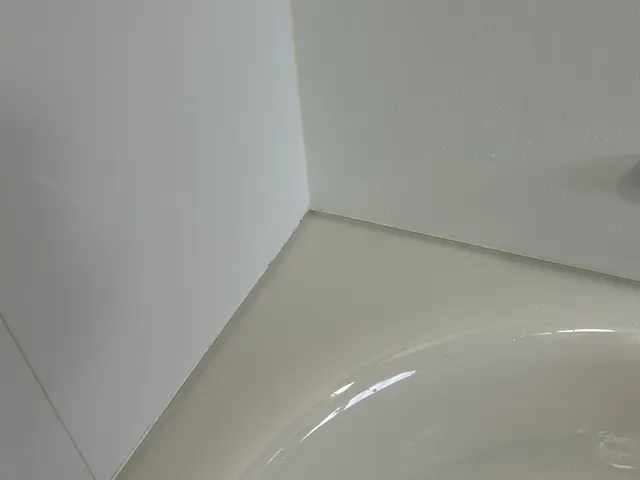 丁寧に早くを目指していますサービスの画像