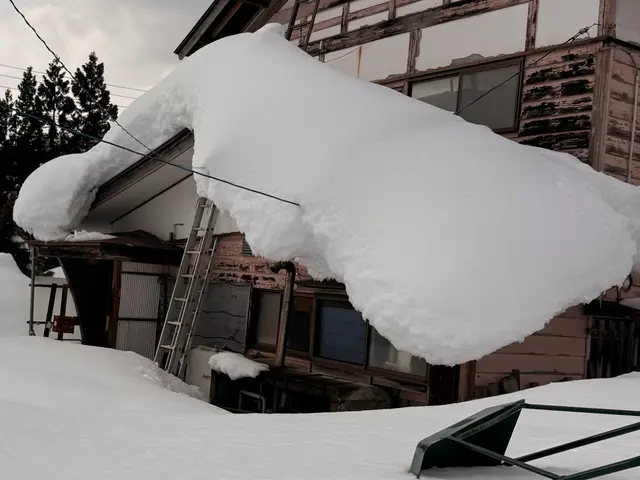 雪のお悩みすぐ解決！雪かき雪下ろしなら当店へ！サービスの画像