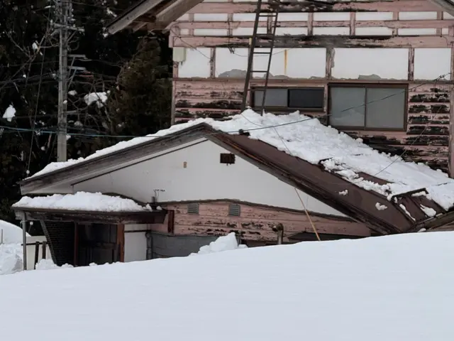 雪のお悩みすぐ解決！雪かき雪下ろしなら当店へ！サービスの画像