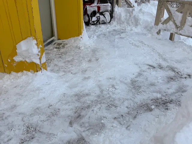 雪のお悩みすぐ解決！雪かき雪下ろしなら当店へ！サービスの画像