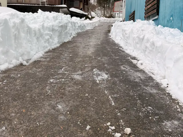 雪のお悩みすぐ解決！雪かき雪下ろしなら当店へ！サービスの画像