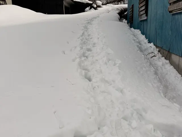 雪のお悩みすぐ解決！雪かき雪下ろしなら当店へ！サービスの画像