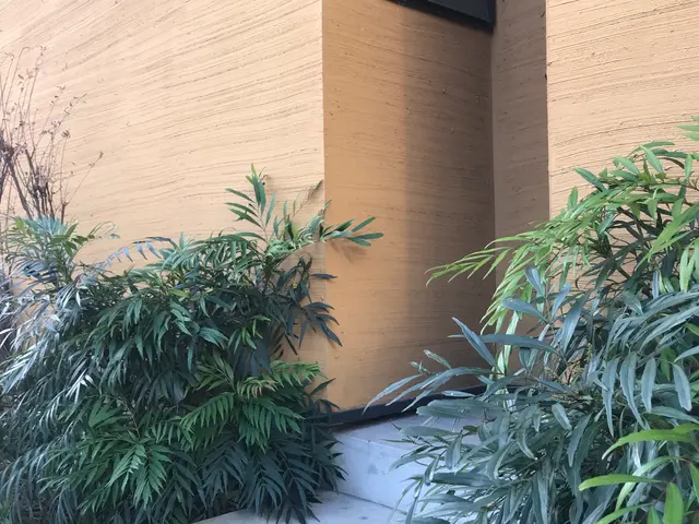 【地域密着】緑豊かな空間を創る★庭木剪定プロフェッショナルサービスの画像