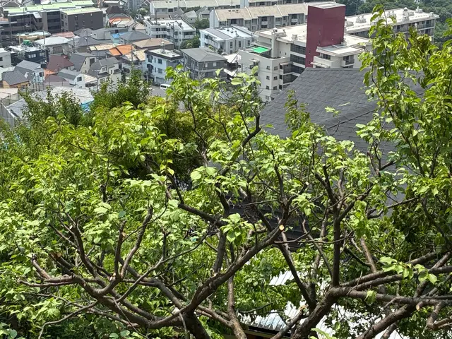 【地域密着】緑豊かな空間を創る★庭木剪定プロフェッショナルサービスの画像