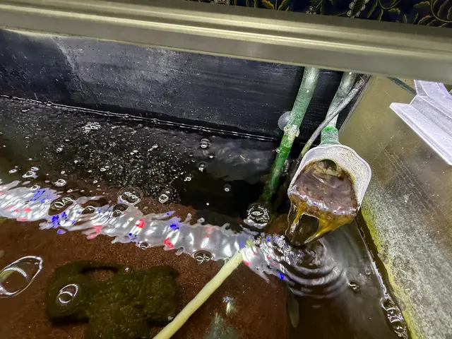 プロの技術でご満足いただけるように心を込めて作業いたしますサービスの画像