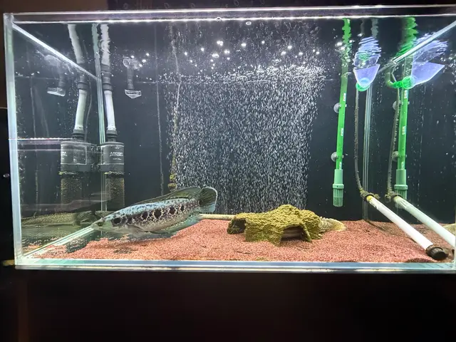 プロの技術でご満足いただけるように心を込めて作業いたしますサービスの画像