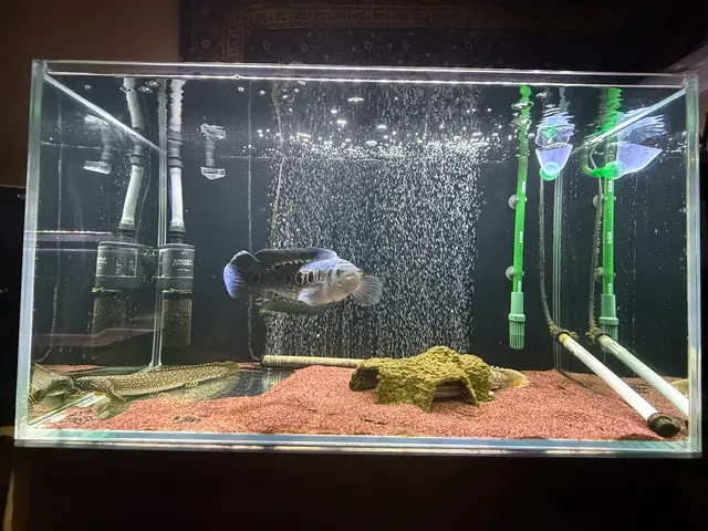 プロの技術でご満足いただけるように心を込めて作業いたしますサービスの画像