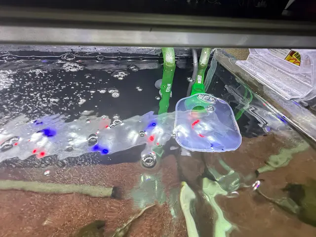 プロの技術でご満足いただけるように心を込めて作業いたしますサービスの画像