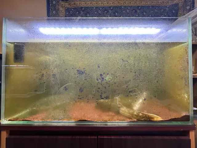 プロの技術でご満足いただけるように心を込めて作業いたしますサービスの画像