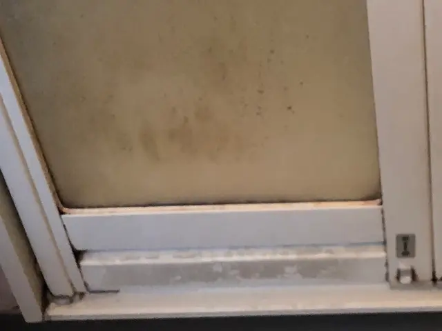 豊富な経験と知識で安心！仕上がり重視で丁寧に作業いたします！サービスの画像