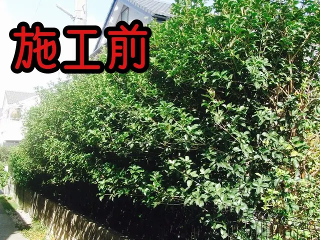 【三重県発】植え込みの剪定・刈り込みを承ります!地域密着で迅速な対応が可能です！サービスの画像