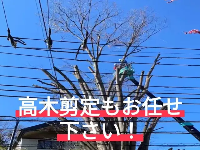 【口コミ賞受賞店】お庭を綺麗に管理しませんか？お庭のお悩みご相談ください！サービスの画像