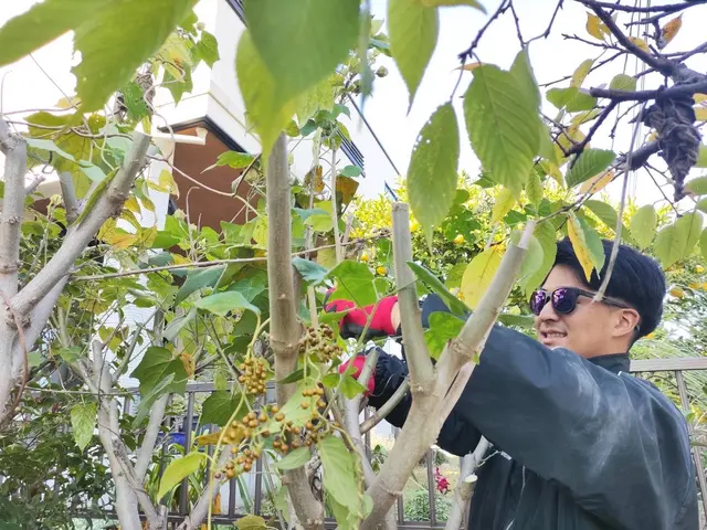 【顧客満足賞受賞店】お庭を綺麗に管理しませんか？お庭のお悩みご相談ください！サービスの画像