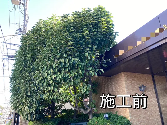 【口コミ賞受賞店】お庭を綺麗に管理しませんか？お庭のお悩みご相談ください！サービスの画像