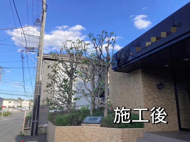 【口コミ賞受賞店】お庭を綺麗に管理しませんか？お庭のお悩みご相談ください！サービスの画像