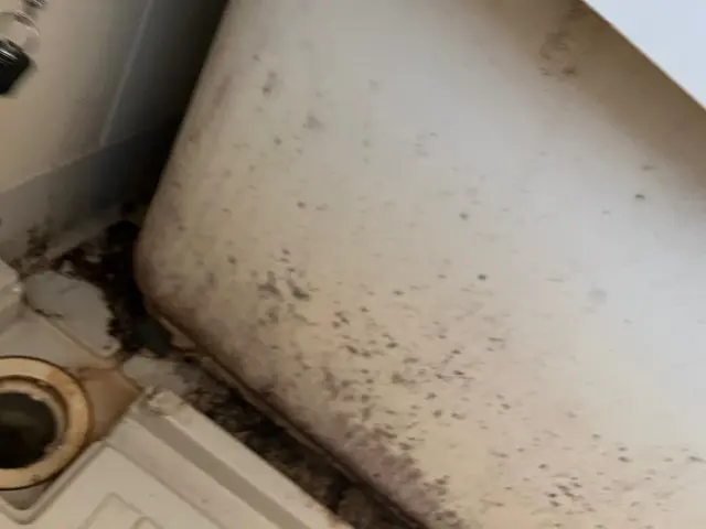 ◎ 安心・安全。身体に負担の少ない洗剤使用◎大手業務経験あり◎損害保険加入済みサービスの画像