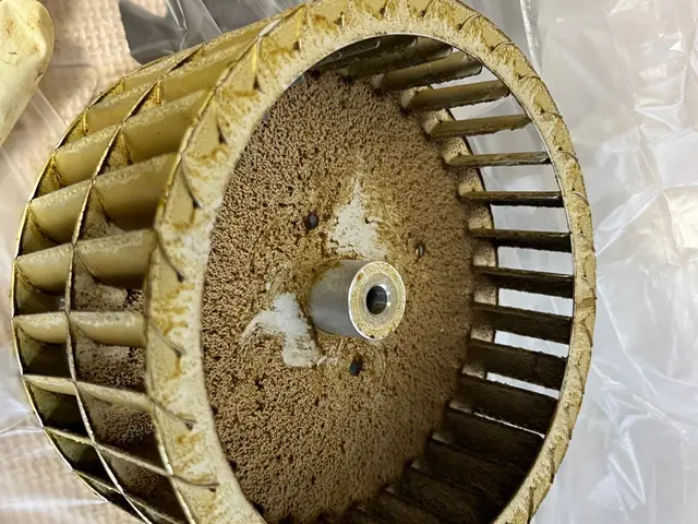 ◎ 安心・安全。身体に負担の少ない洗剤使用◎大手業務経験あり◎損害保険加入済みサービスの画像