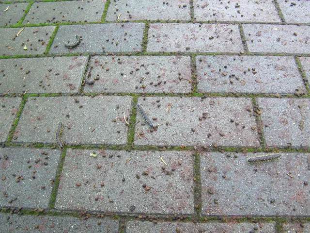 ♦︎毛虫プロ集団◆経験豊富なスタッフが対応駐車料金・薬剤量・全てコミコミサービスの画像