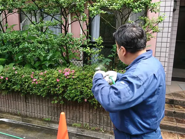 ♦︎毛虫プロ集団◆経験豊富なスタッフが対応駐車料金・薬剤量・全てコミコミサービスの画像