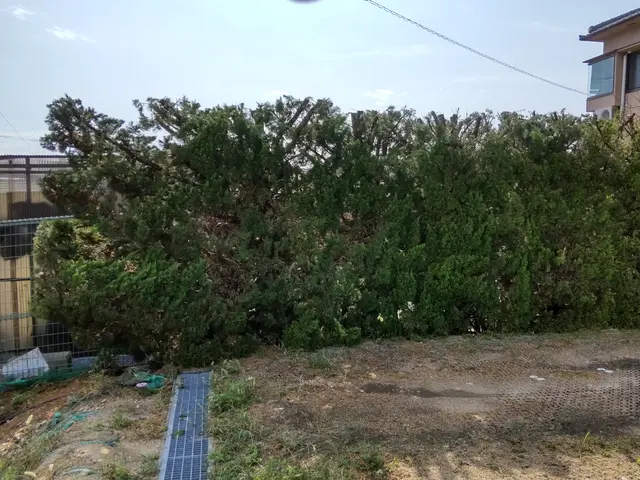 年中無休◎自社スタッフが迅速丁寧に仕上げます！サービスの画像