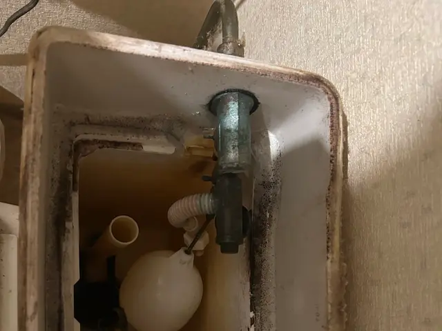 「戸田市・文京区発」水漏れ修理お任せ下さい！緊急対応◎お写真から安価でお見積り！サービスの画像