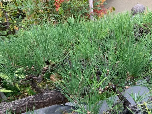 【業歴15年以上の経験実績】営業時間外・対応地域外も対応可能！サービスの画像