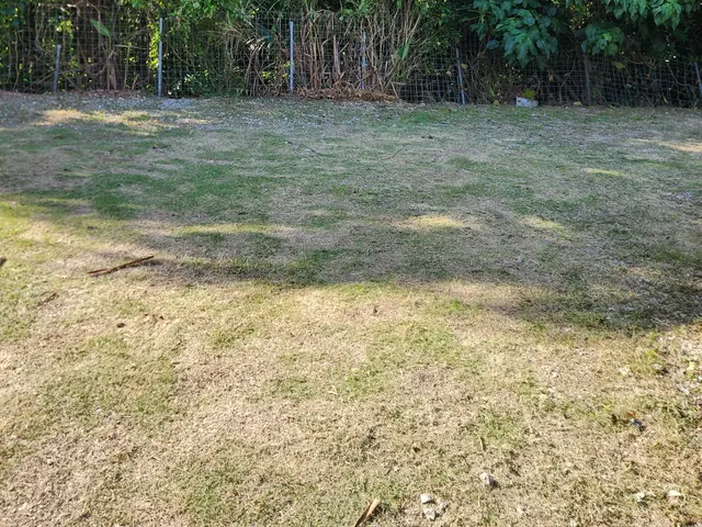 草刈り機での草刈り！高齢者宅・空き家の草刈り機作業も多数実績サービスの画像