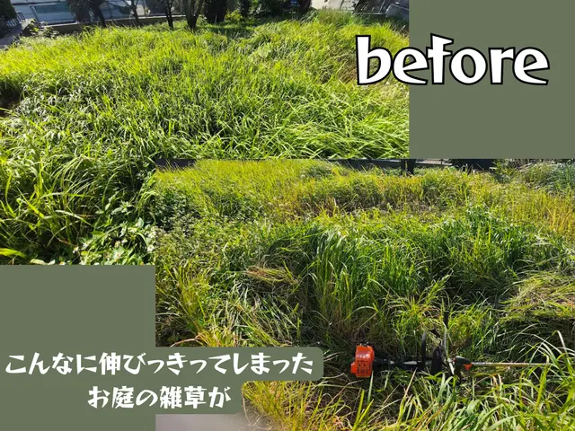 無理しない庭管理！体力的につらくなった方のために草刈り致します！空き家もお任せ！サービスの画像