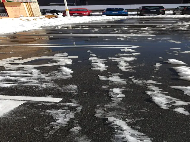 経験豊富な当店が万全の除雪をサービスの画像