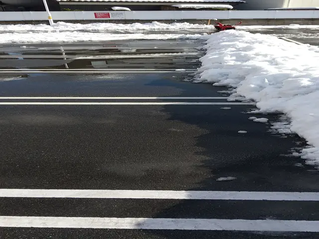 経験豊富な当店が万全の除雪をサービスの画像