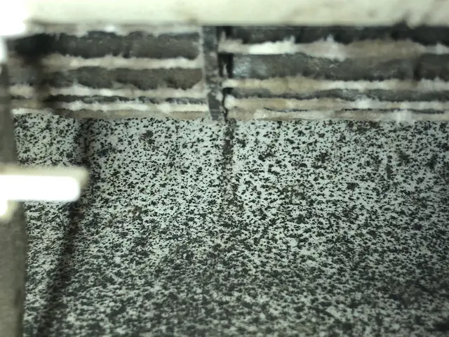 ★丁寧な作業を心がけてます！女性スタッフ同行可能◎エアコンクリーニングサービスの画像