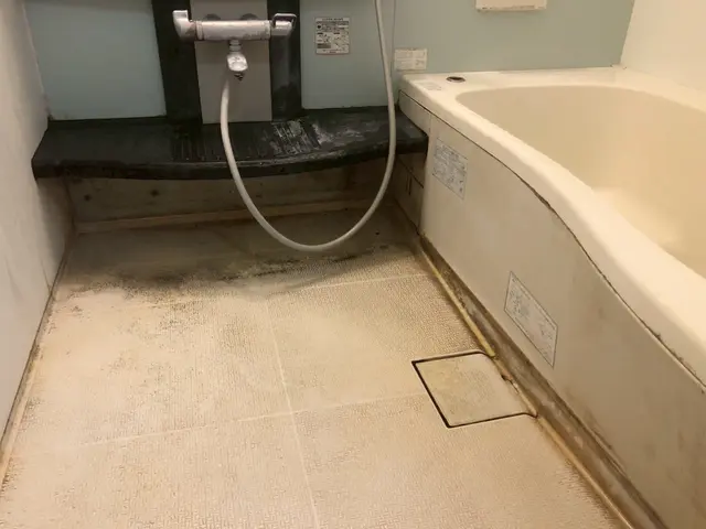 浴室クリーニングならお任せください。サービスの画像