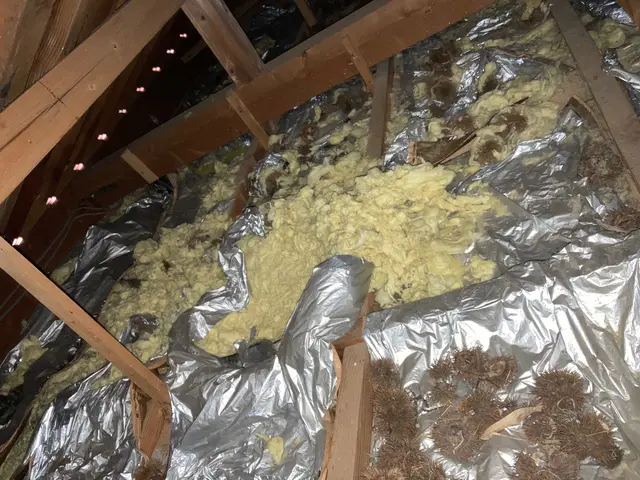 侵入口を徹底的に塞ぎます！安心して暮らせる為に一生懸命に頑張ります。サービスの画像