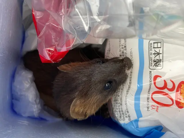 侵入口を徹底的に塞ぎます！安心して暮らせる為に一生懸命に頑張ります。サービスの画像