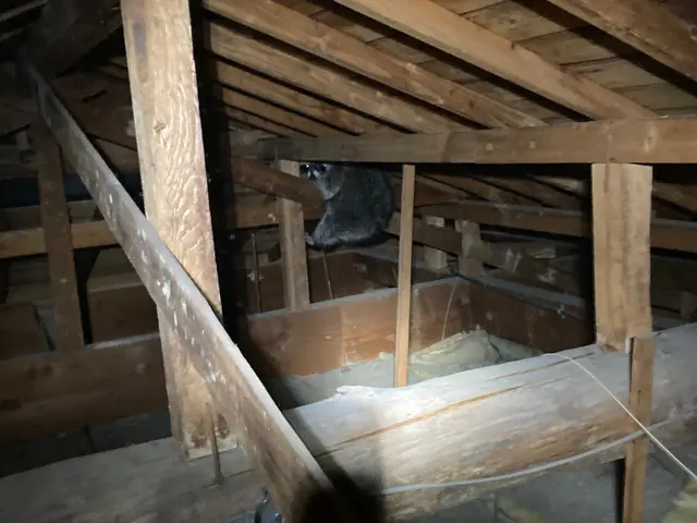 侵入口を徹底的に塞ぎます！安心して暮らせる為に一生懸命に頑張ります。サービスの画像