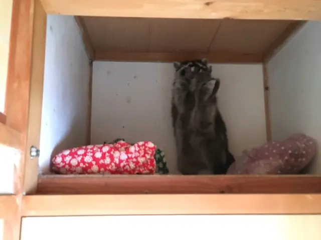 侵入口を徹底的に塞ぎます！安心して暮らせる為に一生懸命に頑張ります。サービスの画像