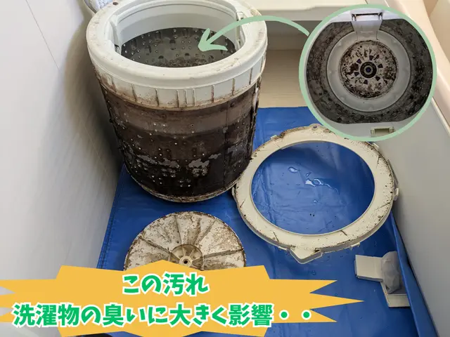 ✿ワカメが気になる✿カビ臭くてイライラ✿そんな悩みを徹底解決✿丁寧な作業で安心！サービスの画像