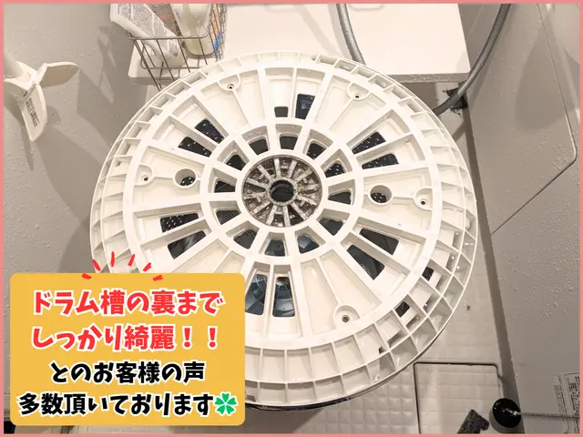 ✿ワカメが気になる✿カビ臭くてイライラ✿そんな悩みを徹底解決✿丁寧な作業で安心！サービスの画像